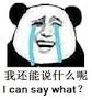 what_can_i_say